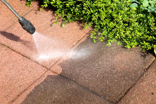 Best Pressure Washing Near Me  in Ferris, TX